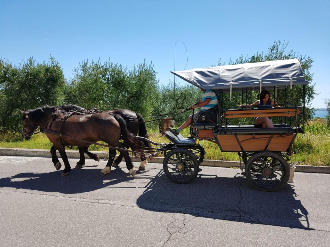 Lamasu Rioverde - Lago Di Garda San Felice del Benaco Buitenkant foto